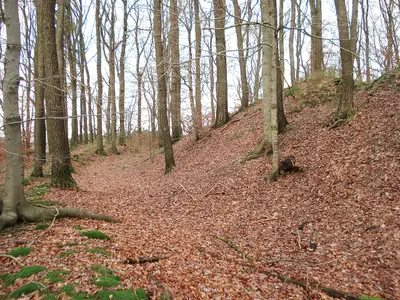 Wallburg Ambrock