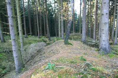 Wallburg Bollberg
