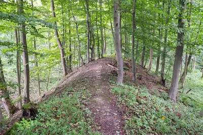 Wallburg Gellinghausen