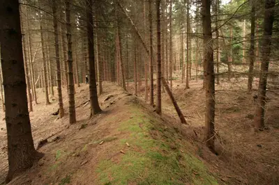Wallburg Güllener Ring