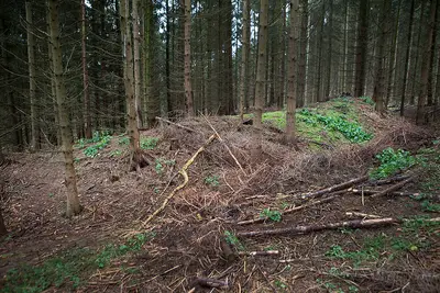 Wehranlage Bomhof