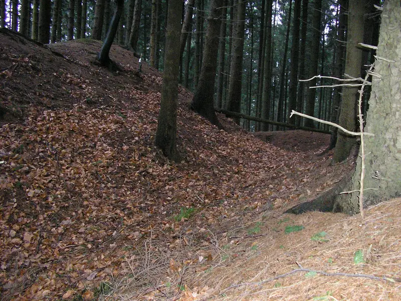 Wehranlage Meesenburg