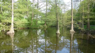 Westfalenpark