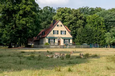 Wildpark Dülmen