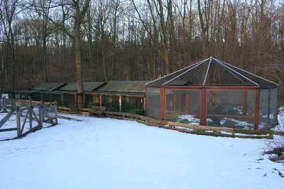 Wildpark im Tannenbusch