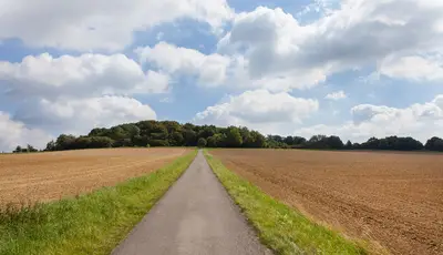 Windmühlenstumpf
