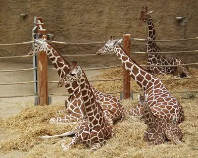 Zoo Duisburg